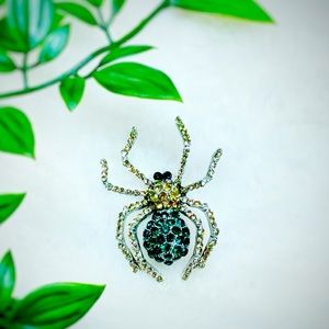 Brooch🕷
